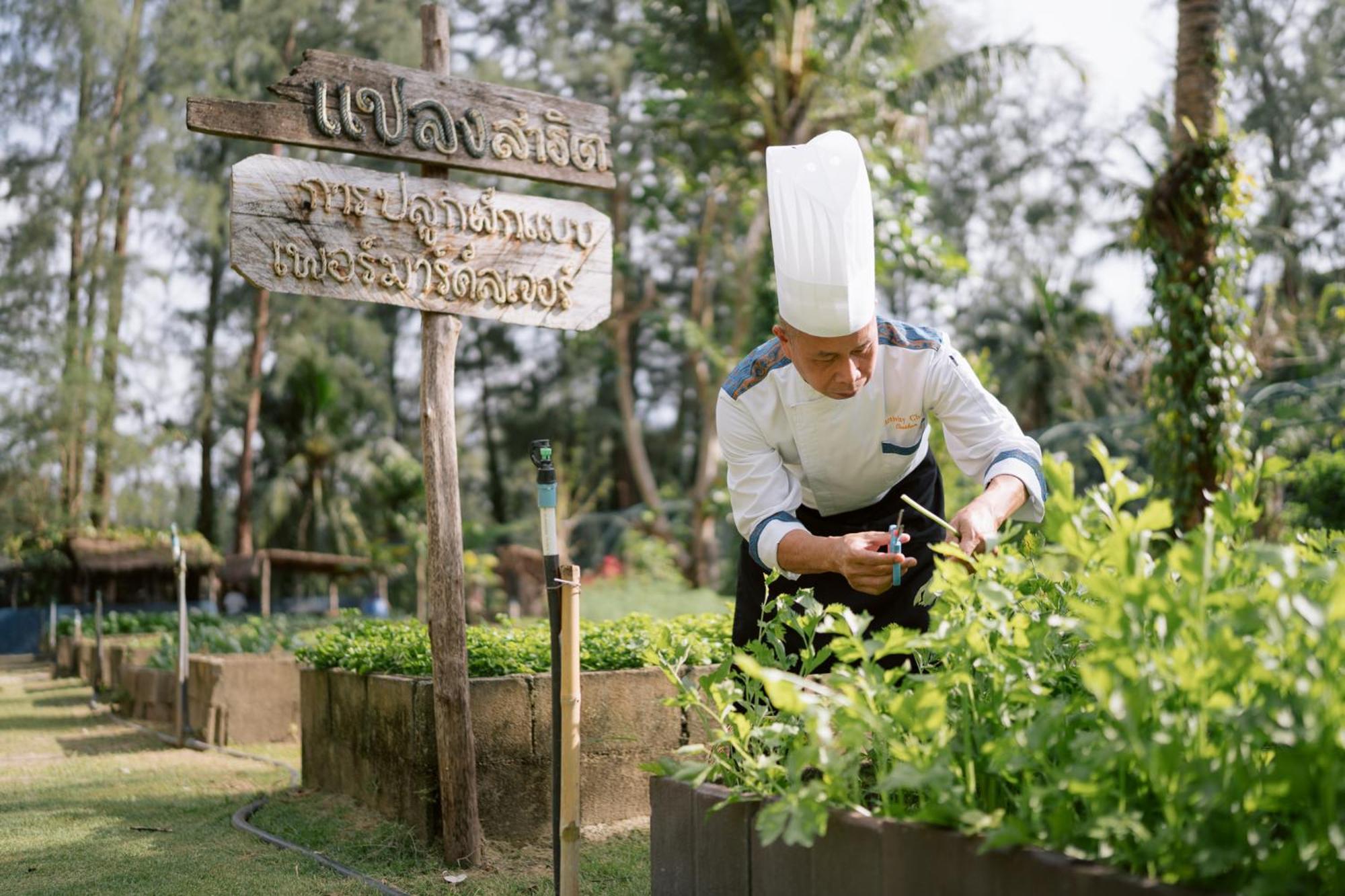 Apsara Beachfront Resort & Villa - Sha Extra Plus Khao Lak Zewnętrze zdjęcie